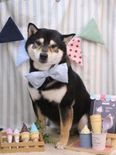 20250518ココくん